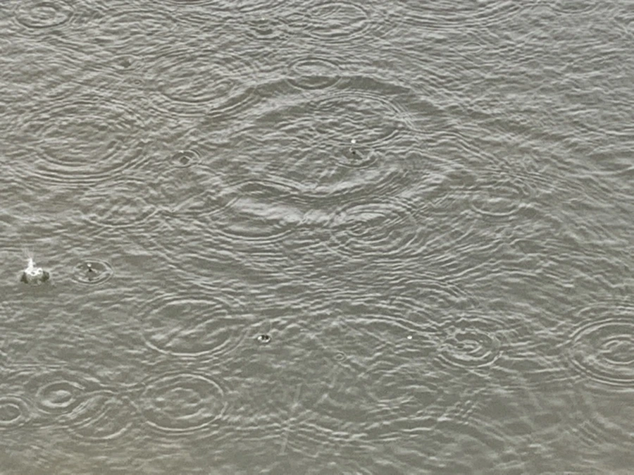 IMG_2053.jpg?type=w966