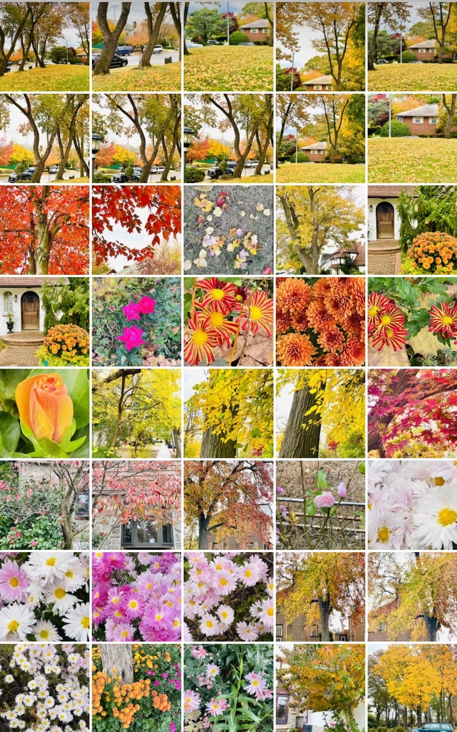 IMG_2513.jpg?type=w966