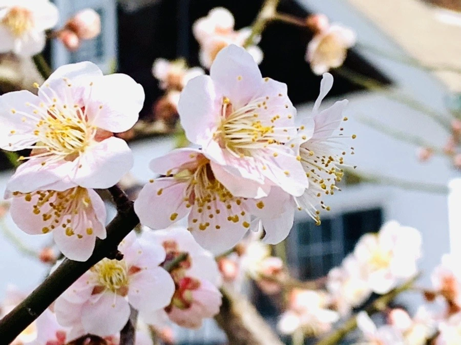 xtIcMmdqVbjIoU3JrcEw6V5IBO0