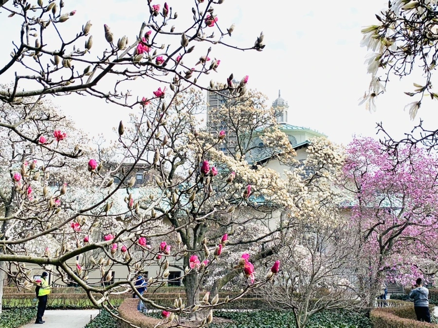 IMG_7285.jpg?type=w966