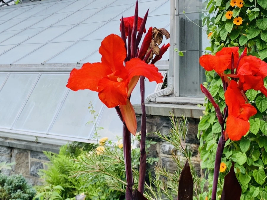 IMG_9446.jpg?type=w966