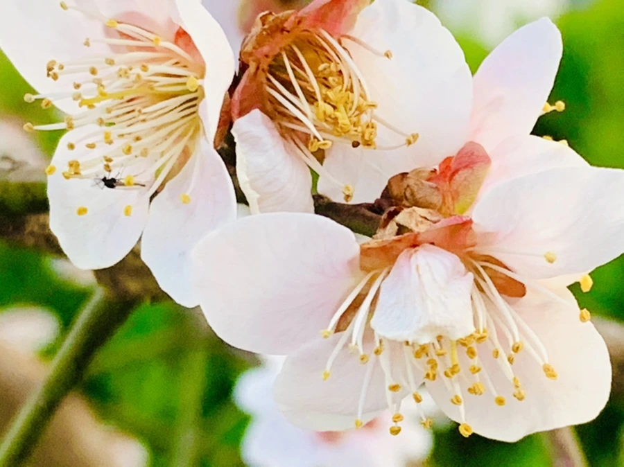 IMG_2817.jpg?type=w966