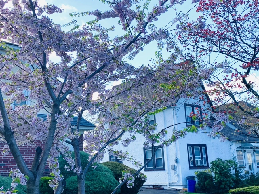 IMG_2611.jpg?type=w966