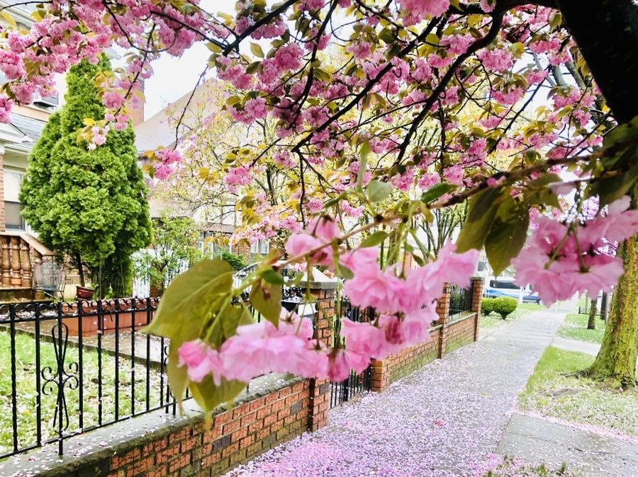 IMG_7180.jpg?type=w966