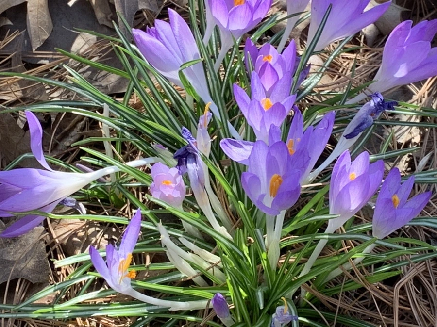 IMG_1284.jpg?type=w966