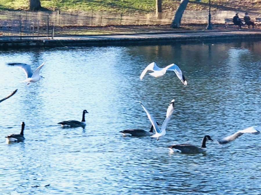 IMG_9314.jpg?type=w966