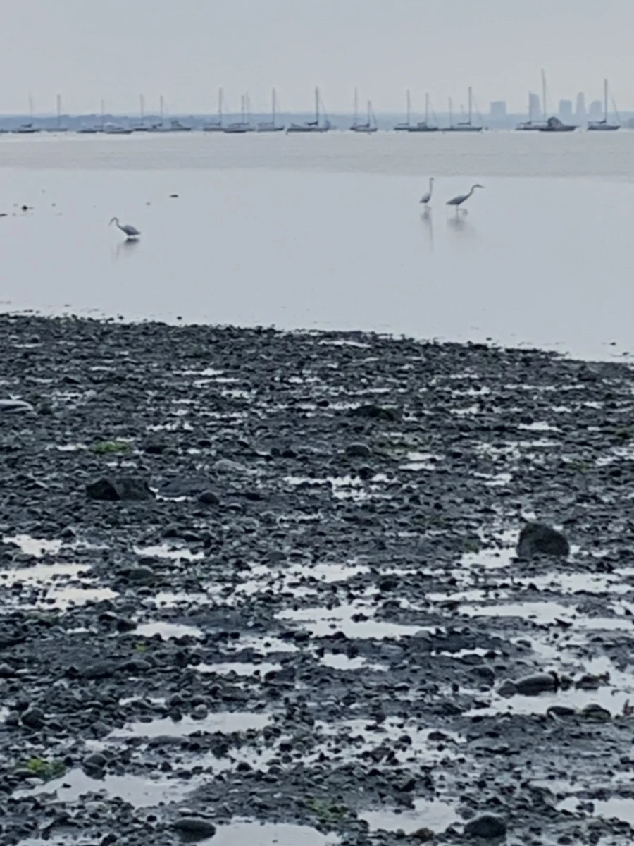 IMG_8100.jpg?type=w966