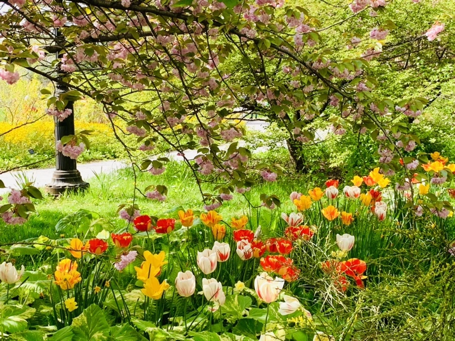 IMG_6881.jpg?type=w966