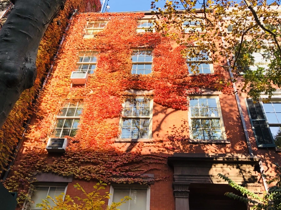 IMG_4023.jpg?type=w966