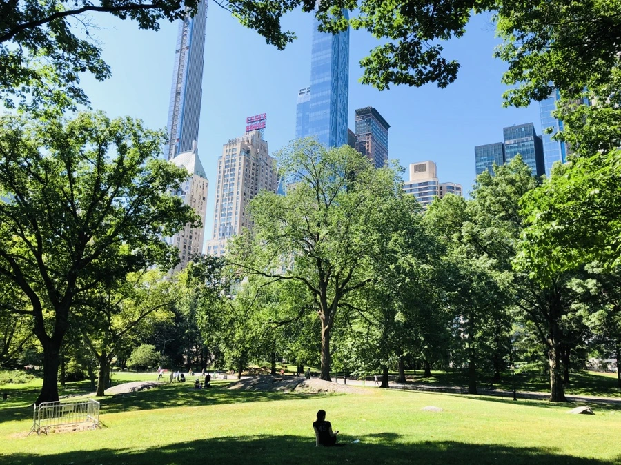 IMG_1082.jpg?type=w966