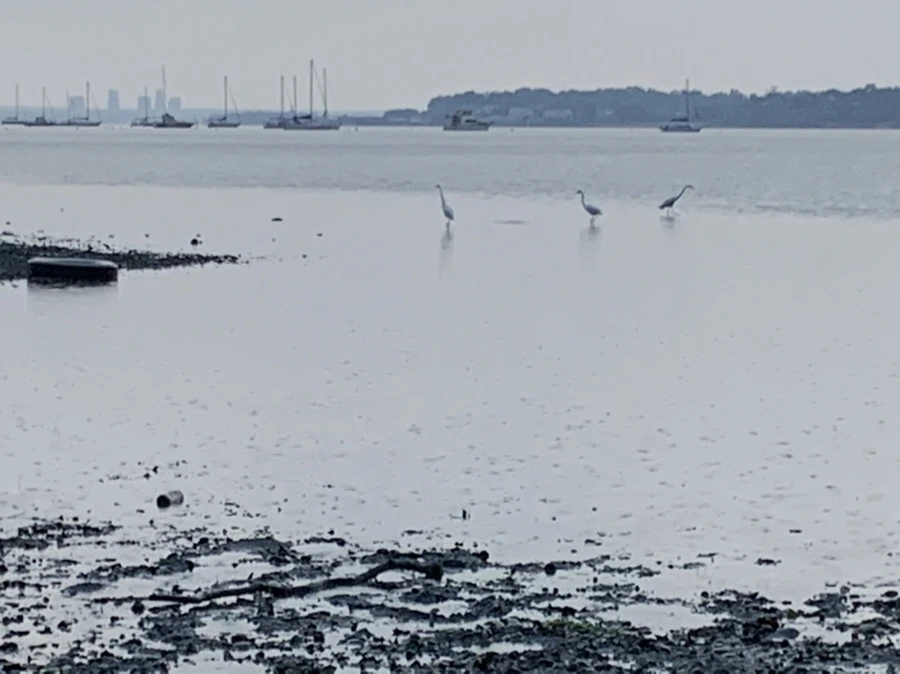 IMG_8120.jpg?type=w966