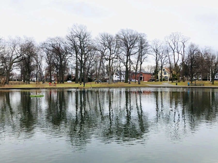 IMG_0977.jpg?type=w966