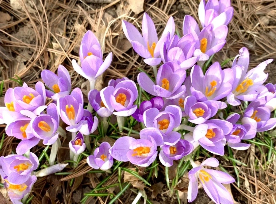 XAggY7IpDu0R71xjgORLHMqdV9Q