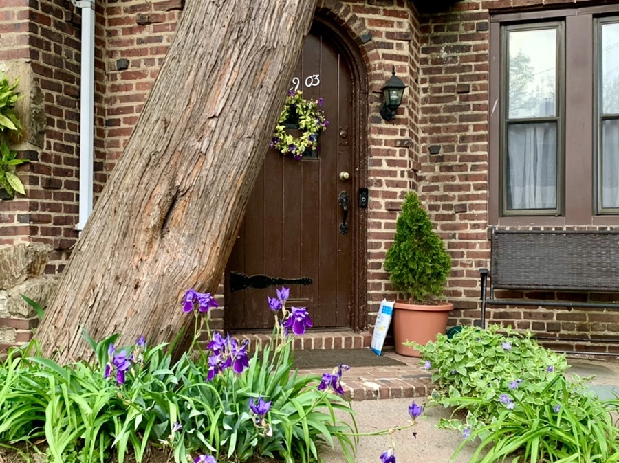 IMG_0490.jpg?type=w966