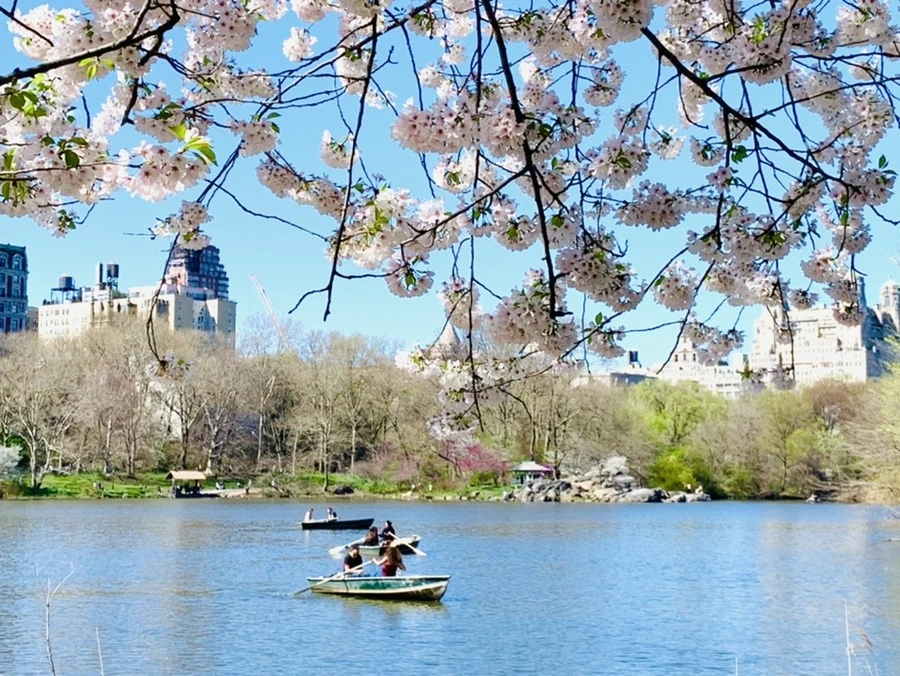 6TyARQT7XJZRxrXCbsOziuiwZ5w