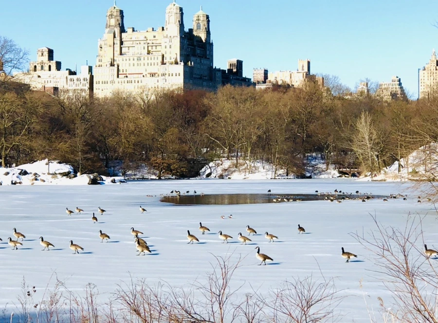 IMG_9876.jpg?type=w966