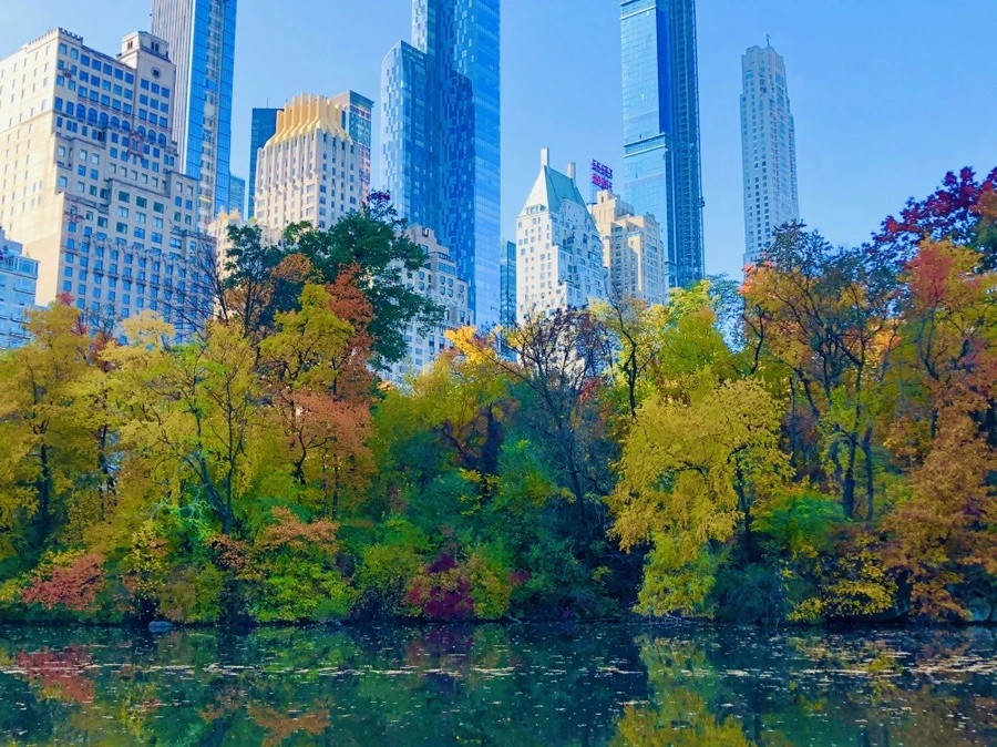 qhGrhQX9LsNRpGXY-CXpQugR52Y