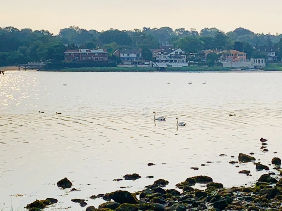 IMG_2256.jpg?type=w966