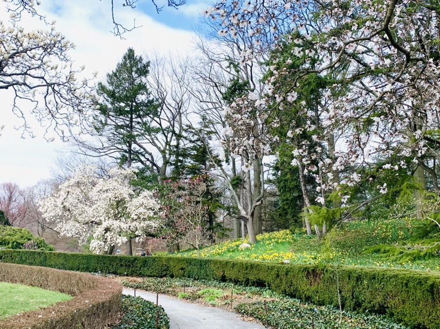 IMG_6497.jpg?type=w966