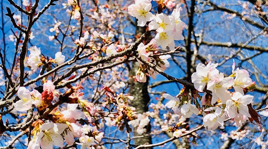 IMG_6633.jpg?type=w966