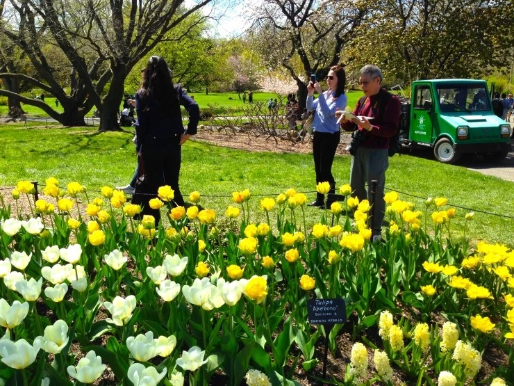 IMG_5185.JPG?type=w1