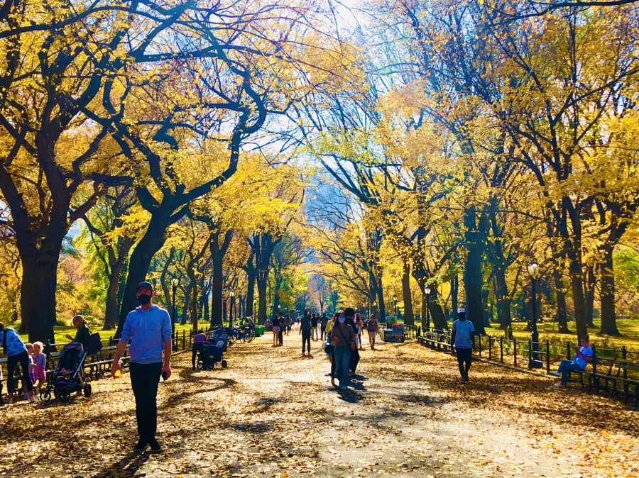 IMG_4280.jpg?type=w966