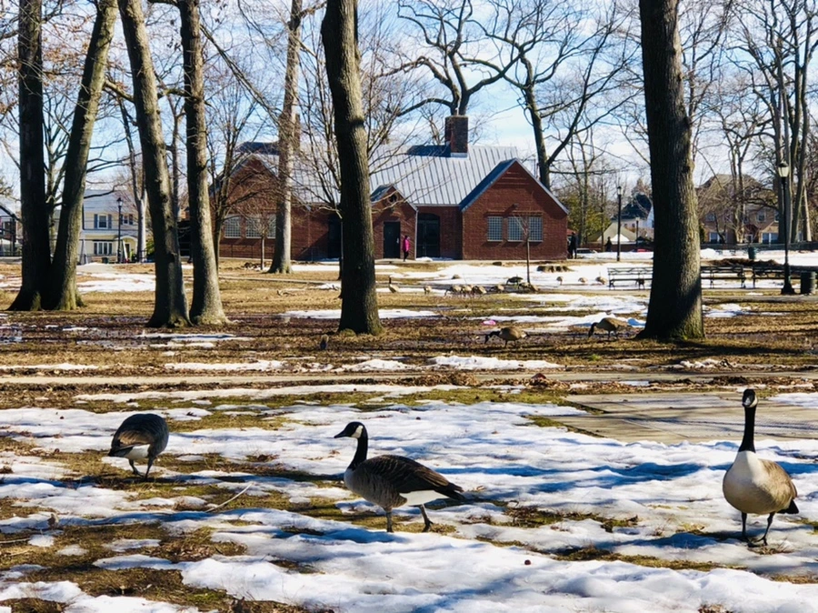 IMG_4707.jpg?type=w966