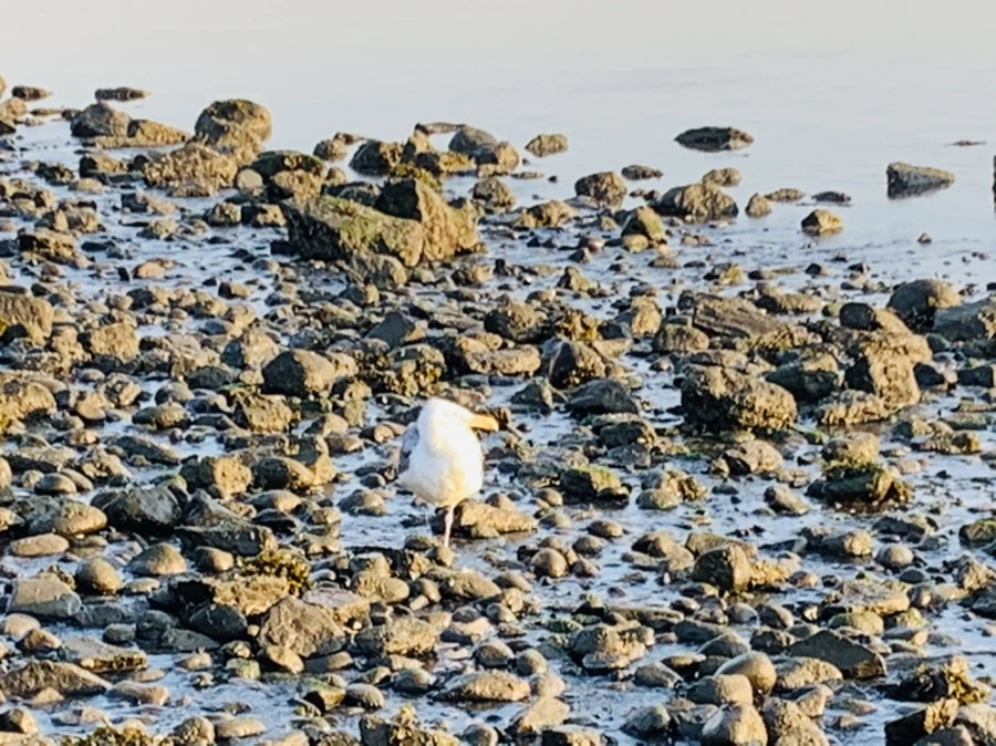 IMG_7319.jpg?type=w966