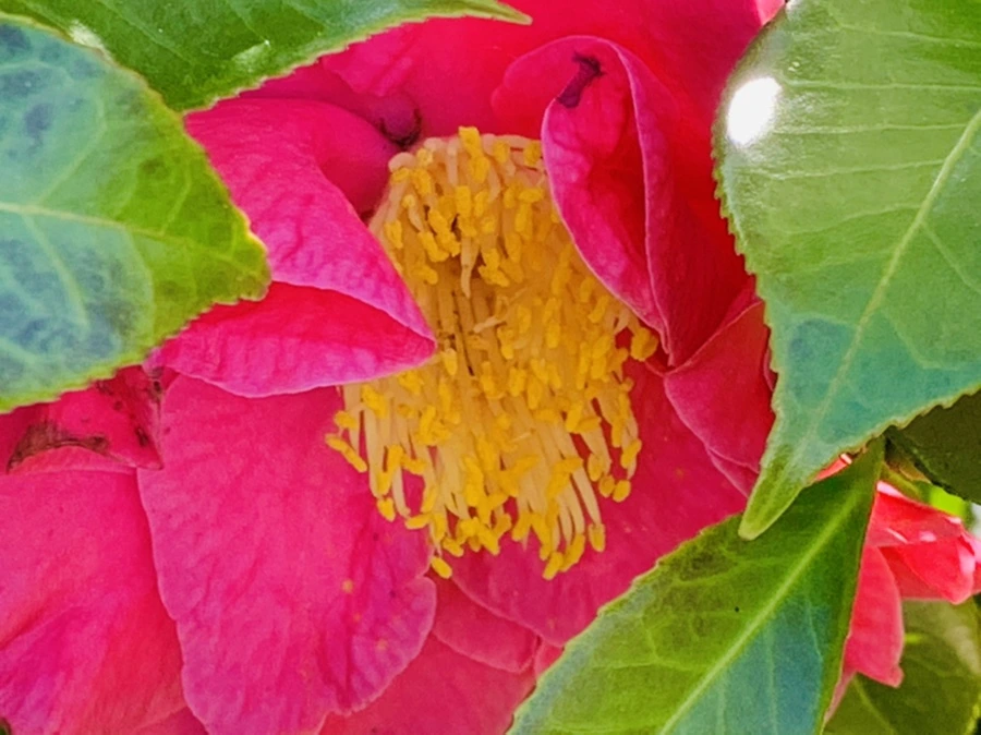 IMG_8306.jpg?type=w966