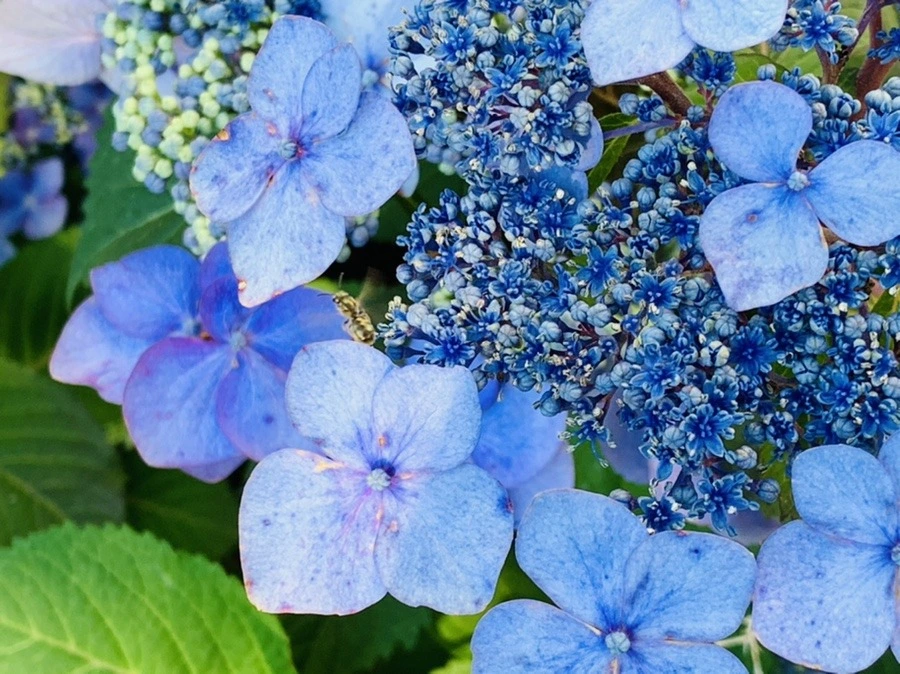 6i7BfbYePC_DFRstwaMyEsu_9OY