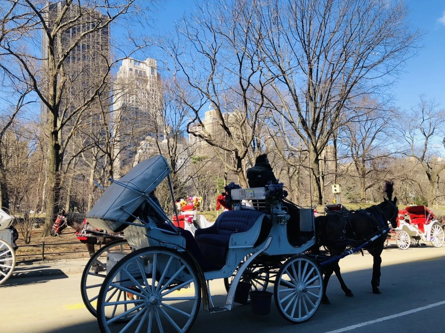 IMG_1182.jpg?type=w966