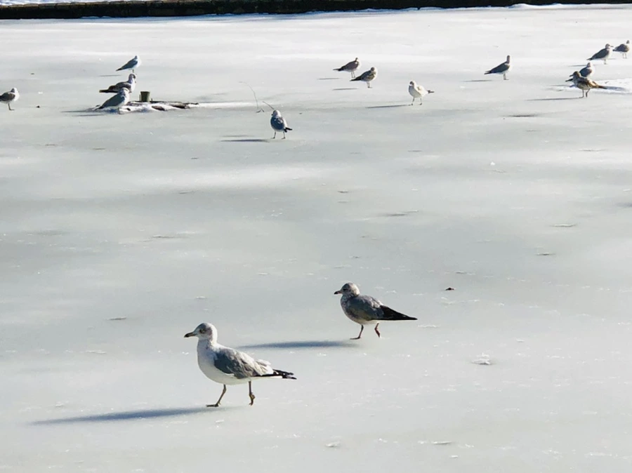 IMG_0344.jpg?type=w966