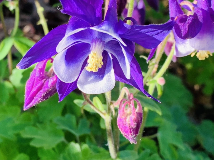 IMG_1974.jpg?type=w966