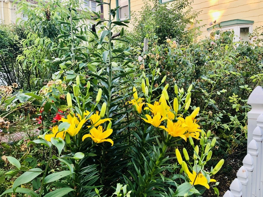 IMG_9780.jpg?type=w966