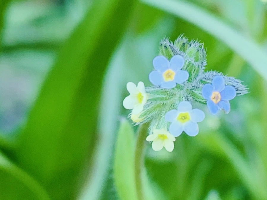 IMG_8261.jpg?type=w966