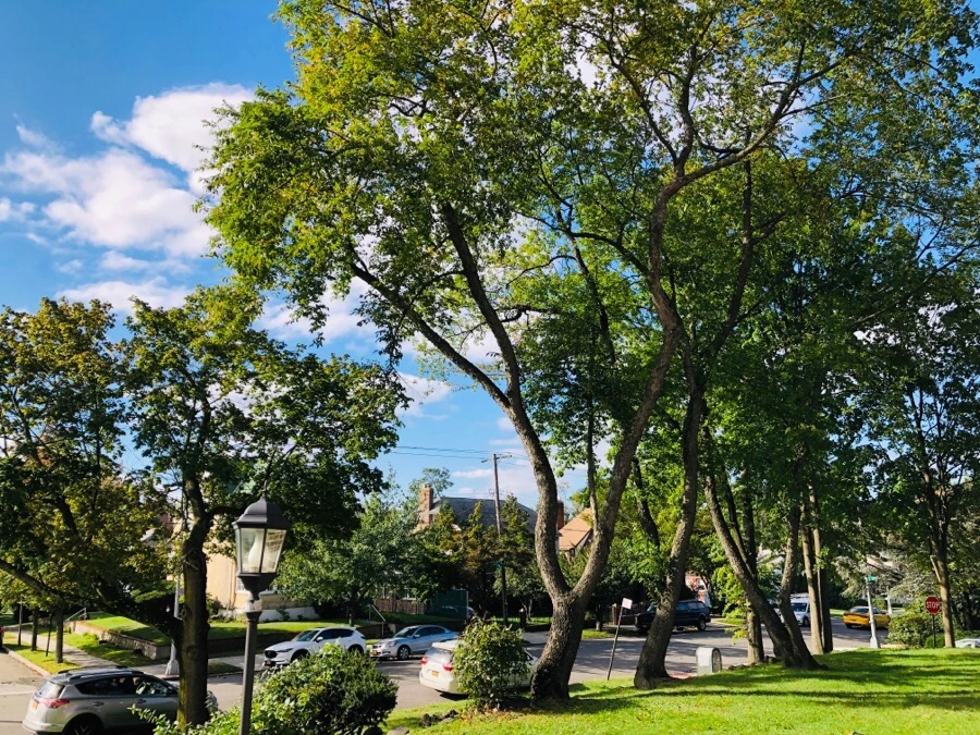 IMG_6806.jpg?type=w966