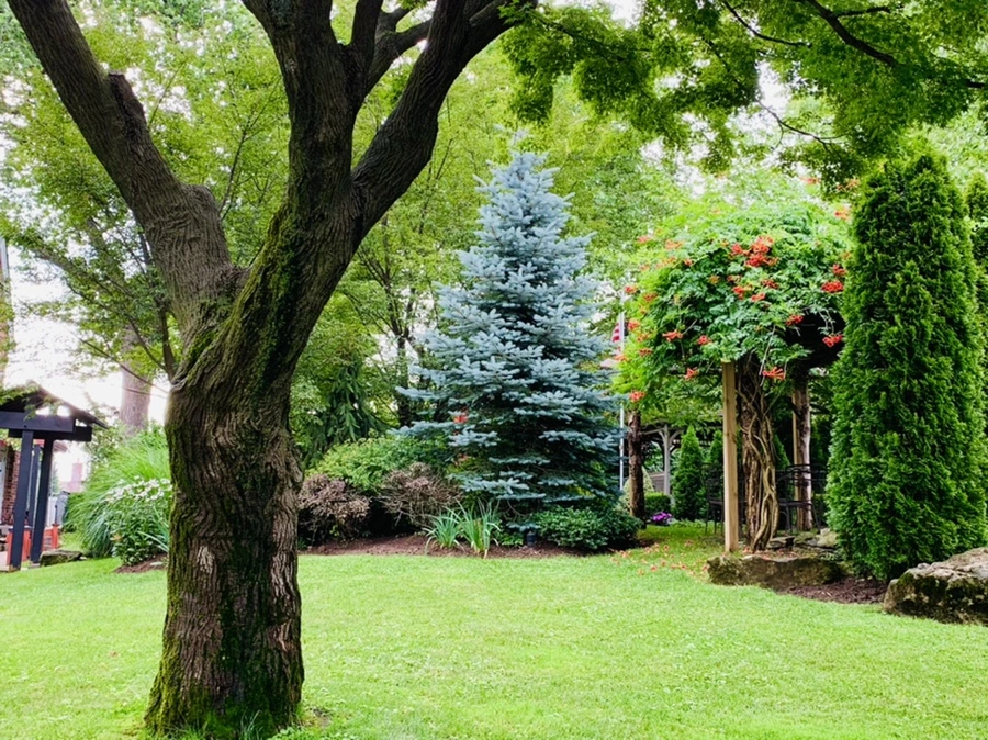 IMG_9029.jpg?type=w966