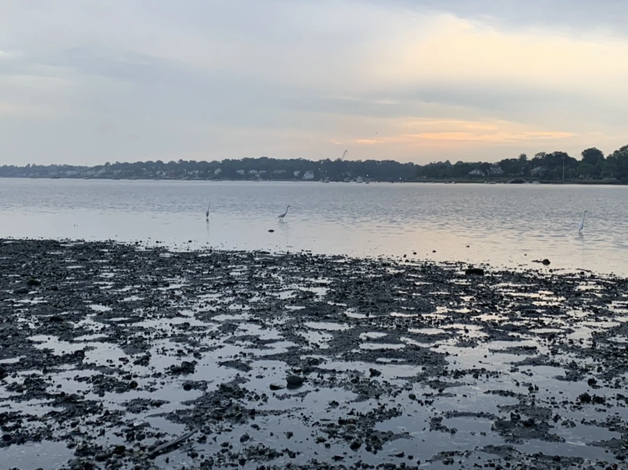 IMG_8145.jpg?type=w966