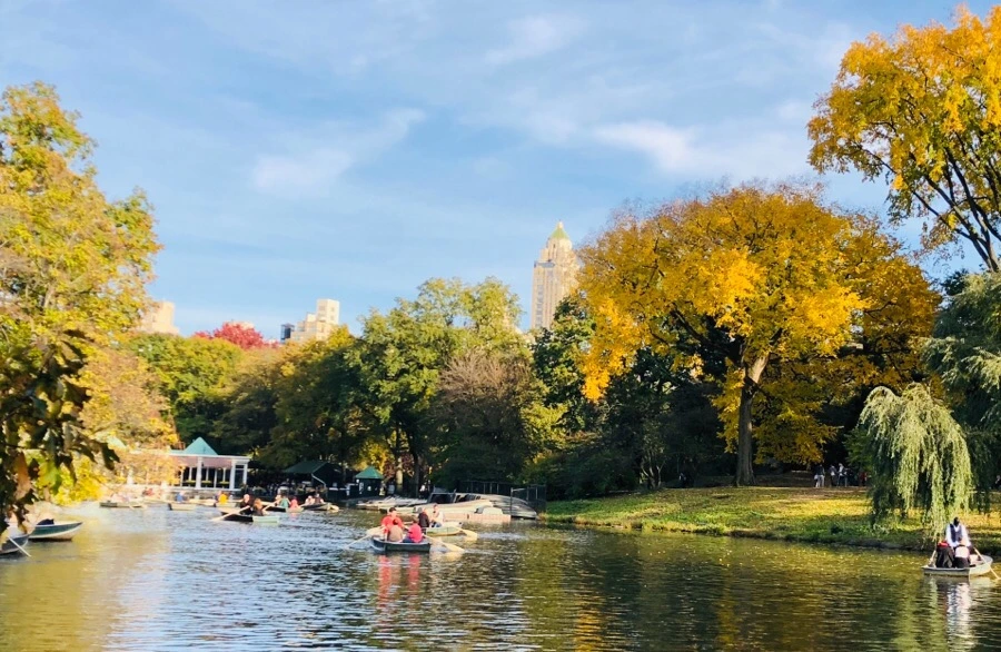 IMG_7211.jpg?type=w966