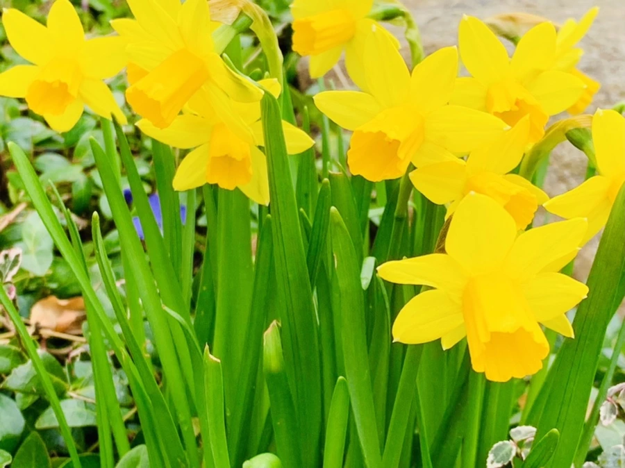 IMG_4034.jpg?type=w966