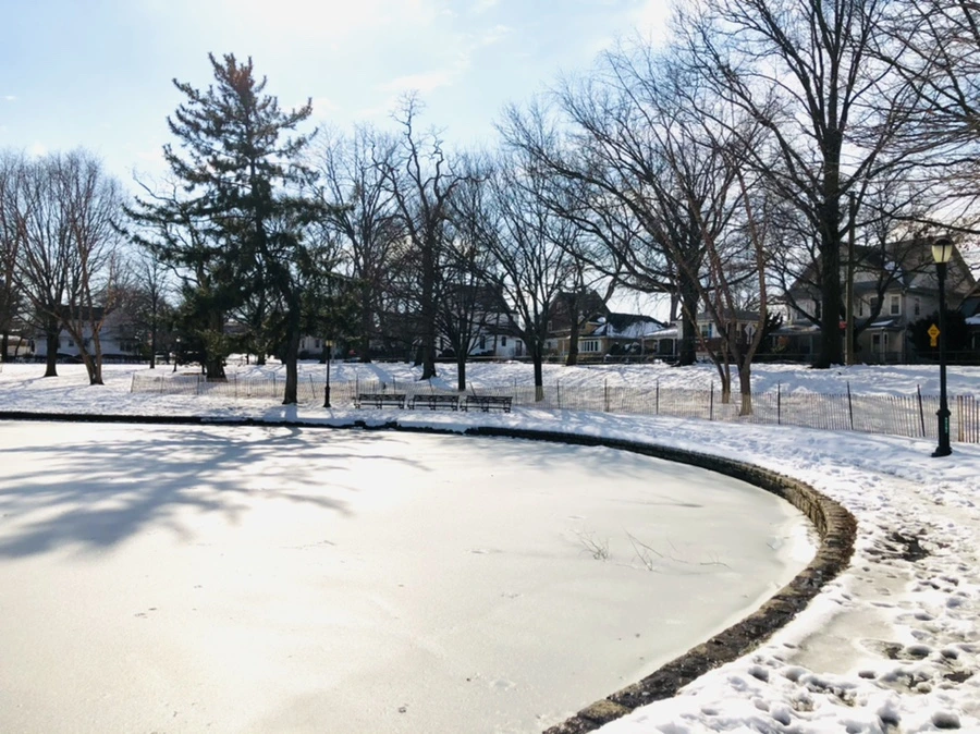 IMG_0092.jpg?type=w966