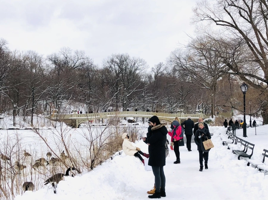 IMG_9496.jpg?type=w966