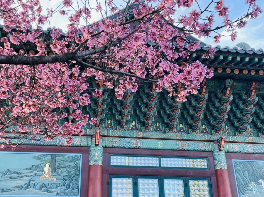 IMG_6103.jpg?type=w966