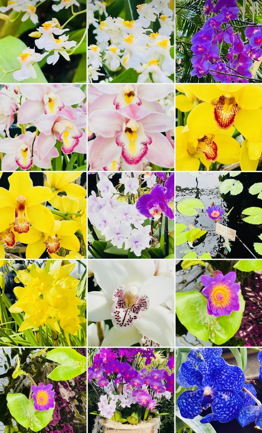 IMG_4695.jpg?type=w966