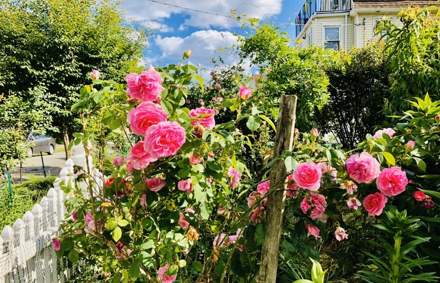 IMG_7644.jpg?type=w966