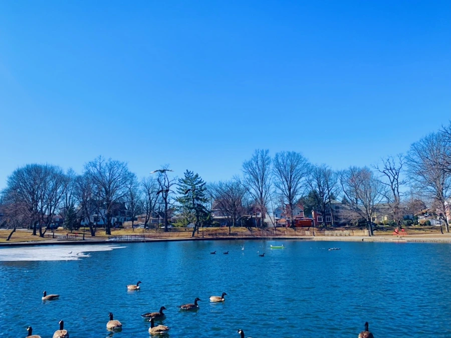 IMG_6751.jpg?type=w966