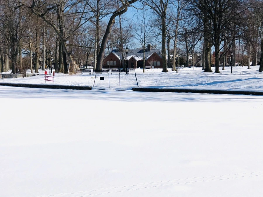 IMG_3949.jpg?type=w966