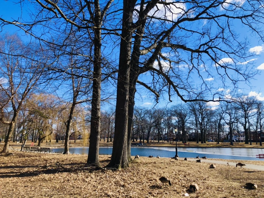 IMG_7634.jpg?type=w966