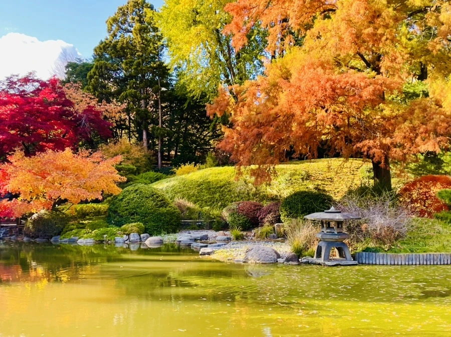 IMG_3165.jpg?type=w966