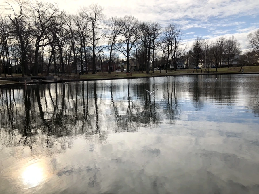 IMG_9863.jpg?type=w966